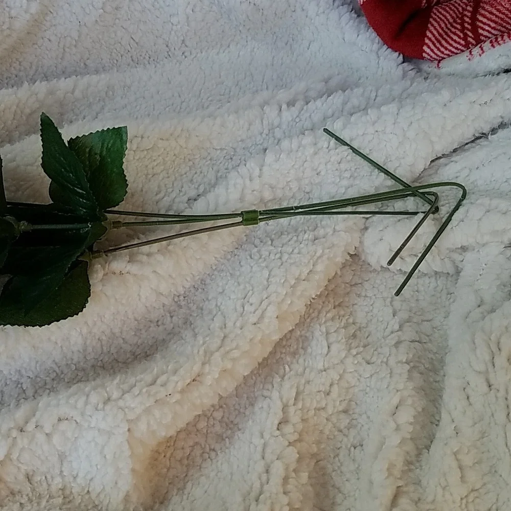 3 LONG STEM ROSES